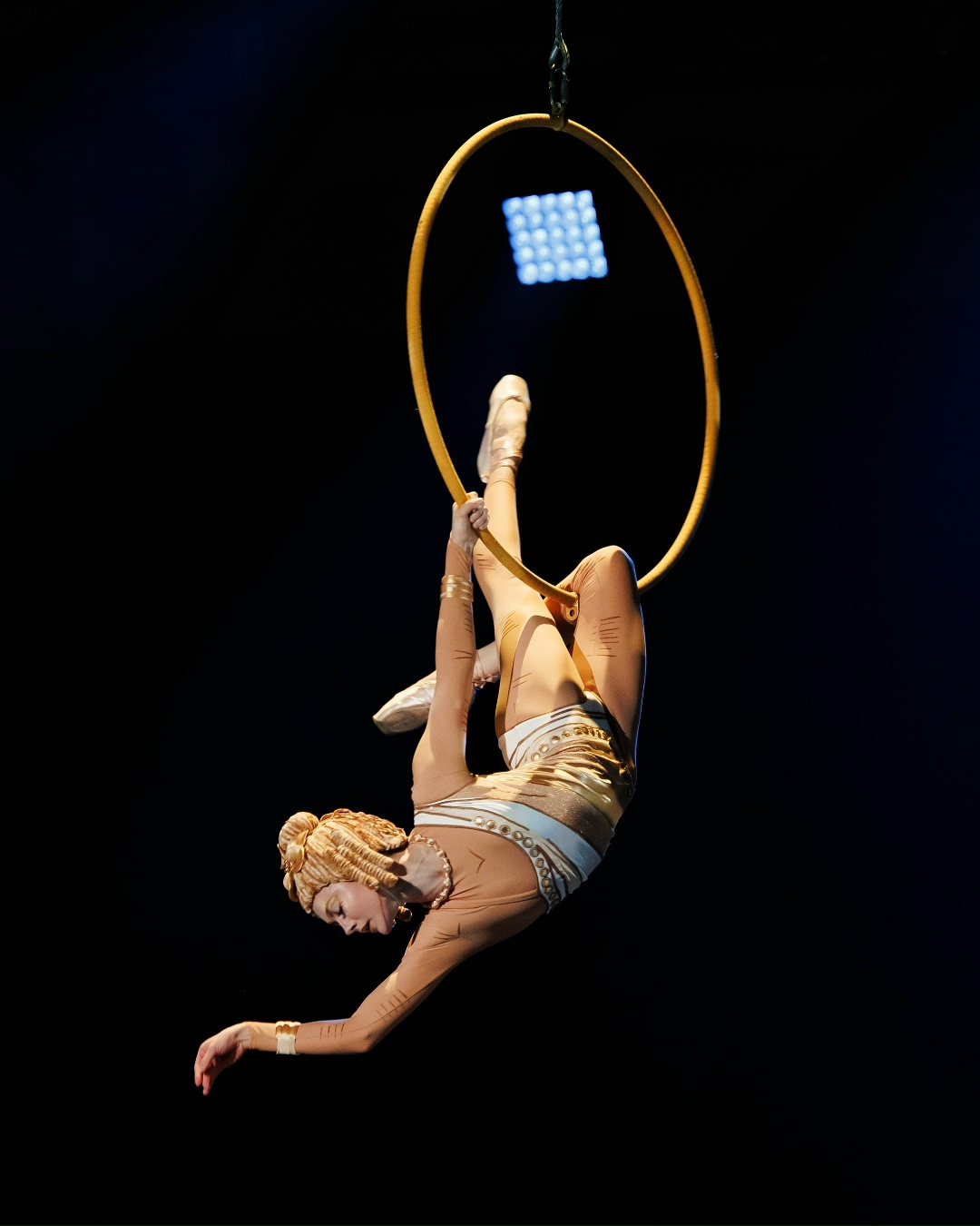 Театрализованное цирковое шоу «Сны Пушкина» представит новогоднюю программу в УСЗ Дружба